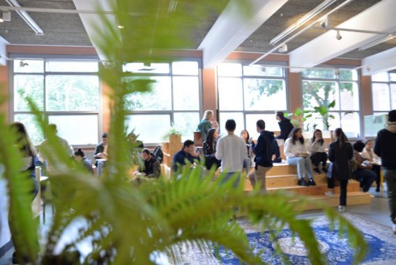 HILLEVLIET AFBEELDING